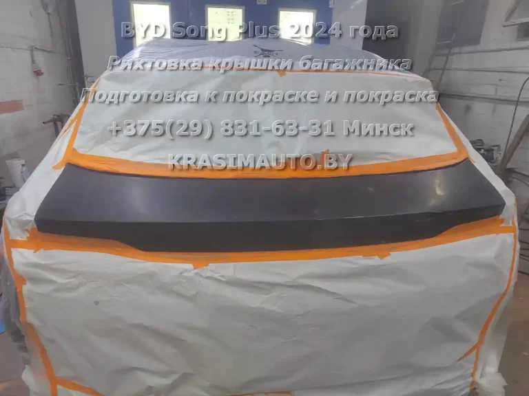 BYD Song Plus-2024-8