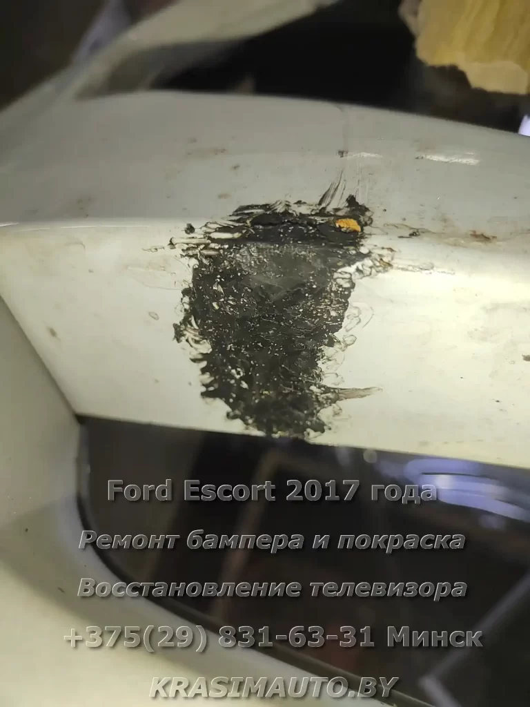 Escort 2017-4