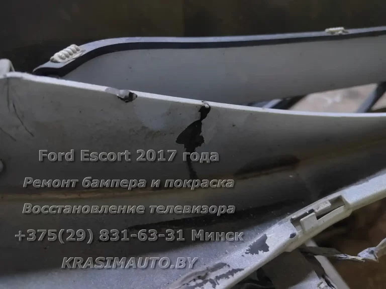 Escort 2017-8