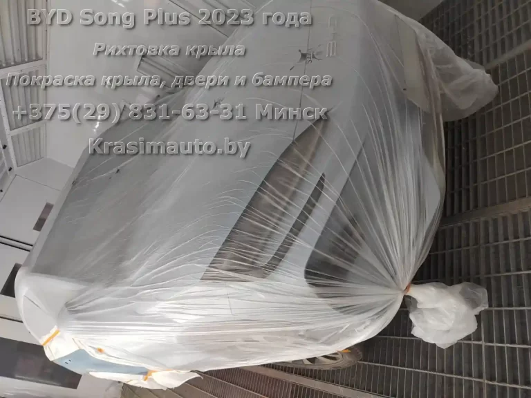 Song Plus 2023 -12