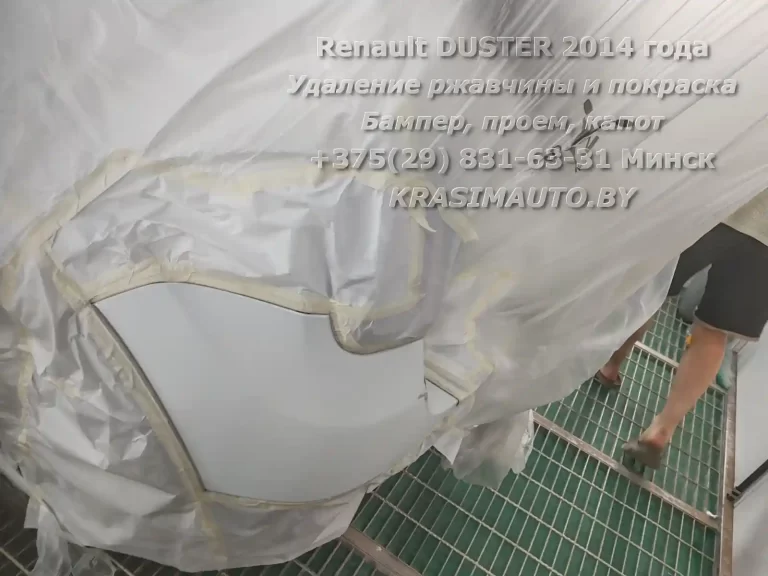 duster 2014 -1