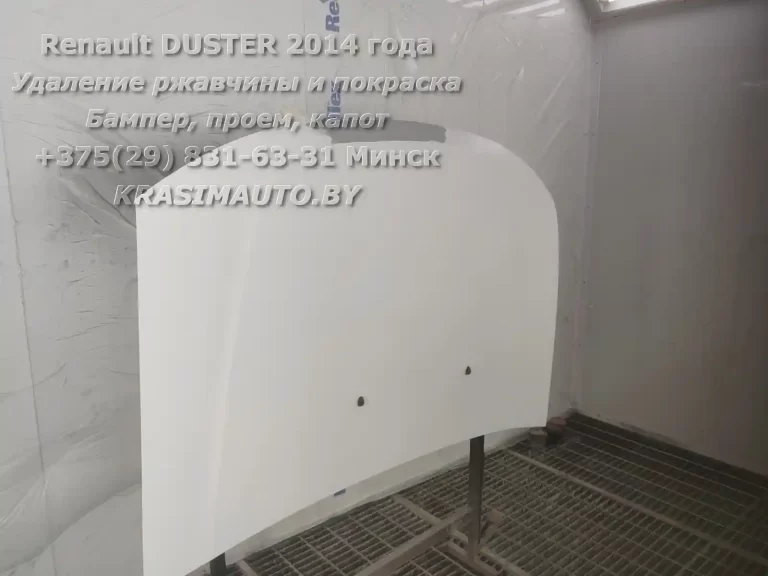 duster 2014