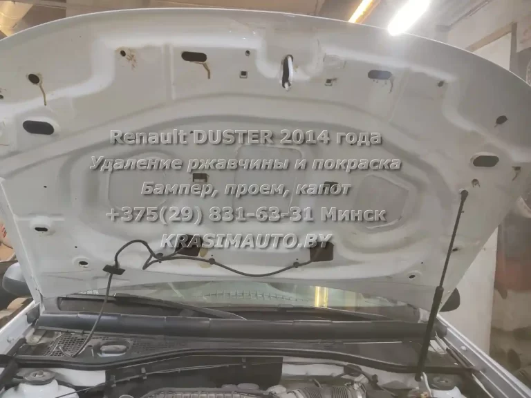 duster 2014 -9