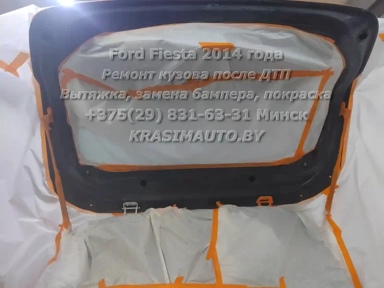 fiesta-2014-6