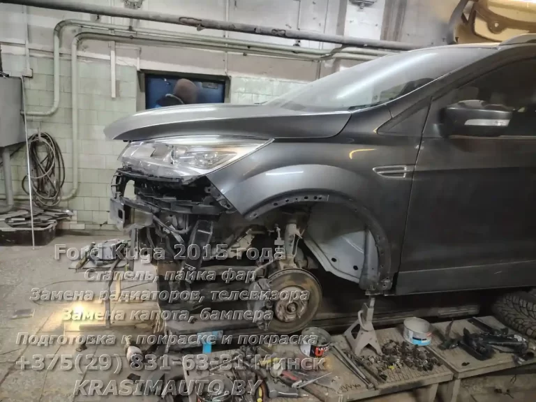 kuga-2015 -10