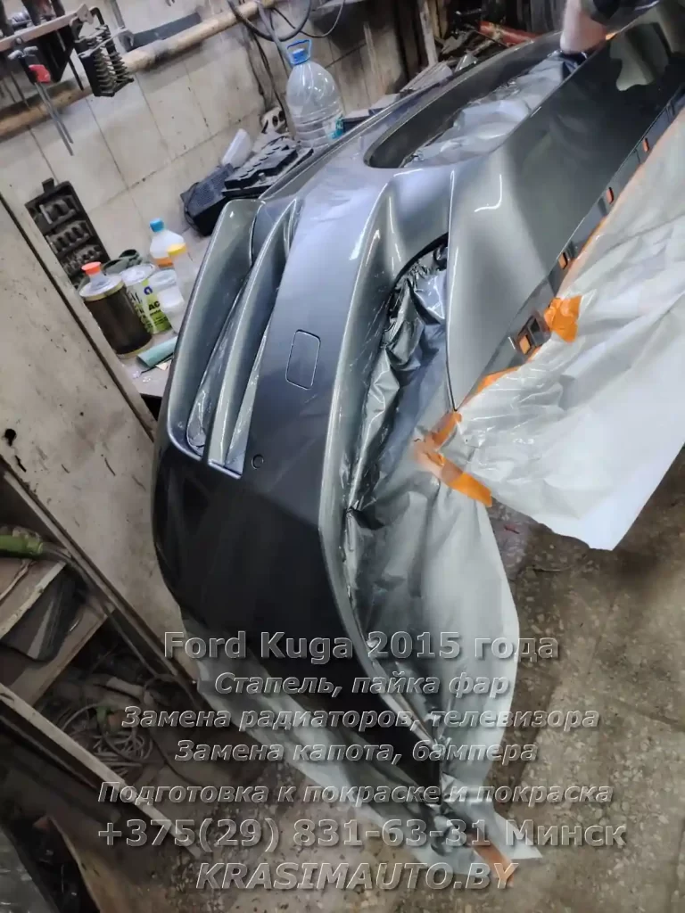 kuga-2015 -11