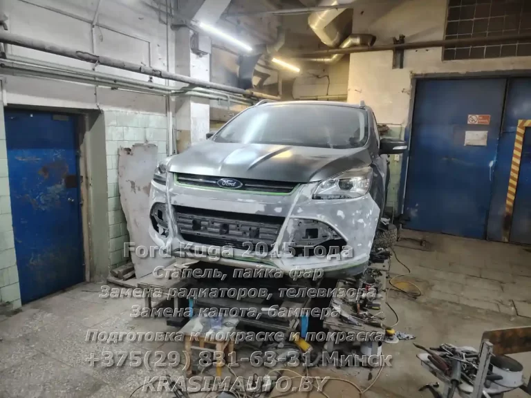 kuga-2015 -12