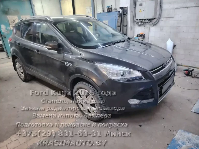 kuga-2015 -17