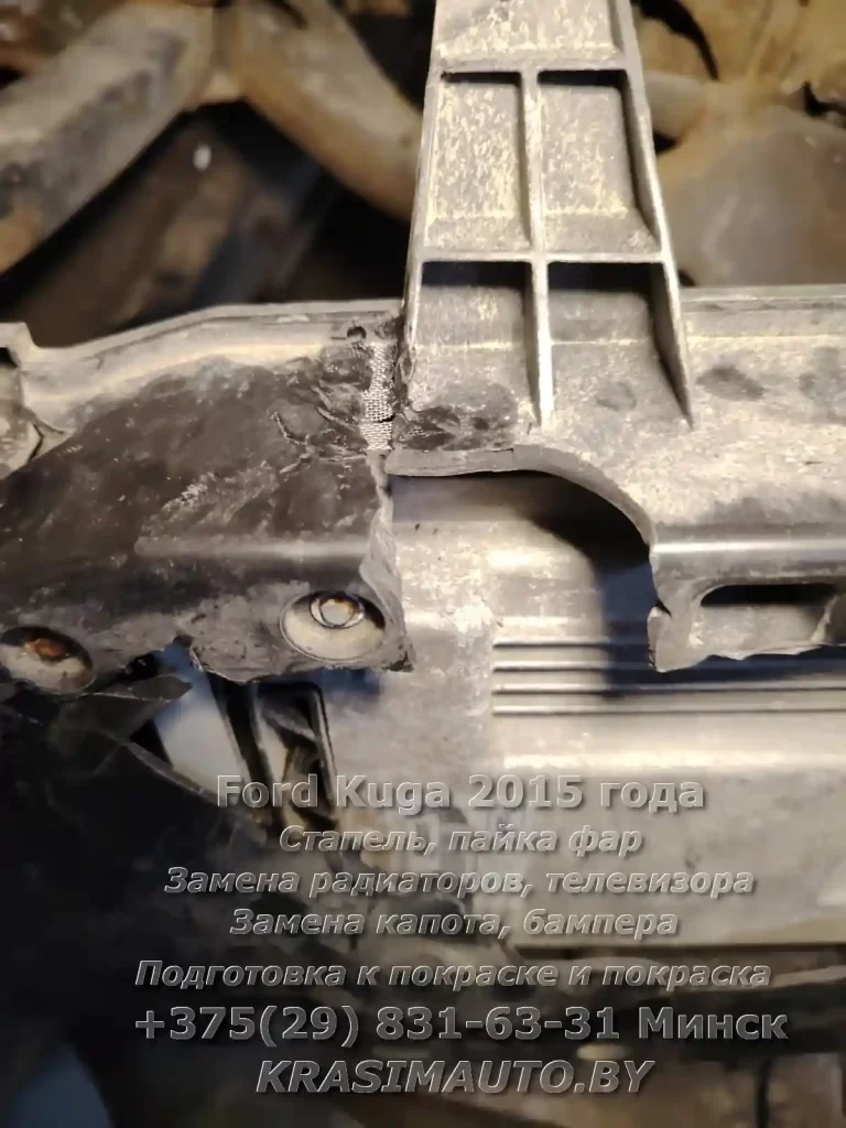 kuga-2015 -19
