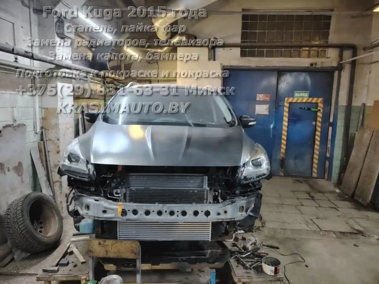 kuga-2015 -9