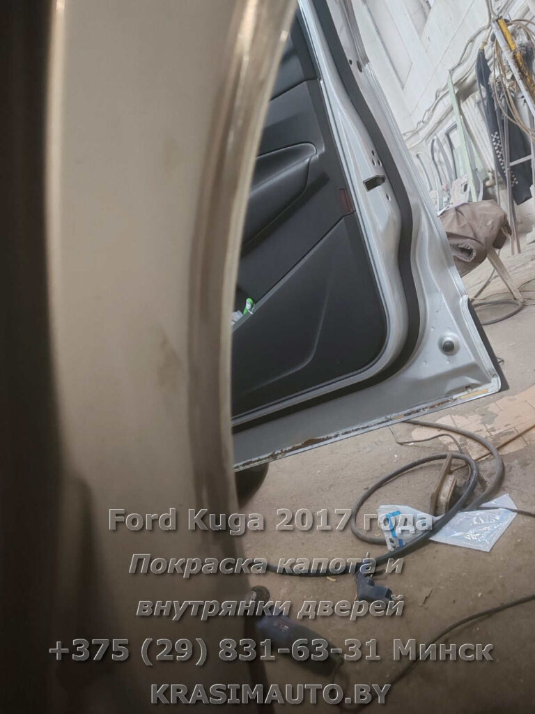 kuga-2017 -3