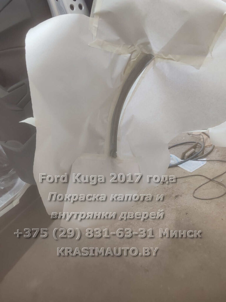 kuga-2017 -6