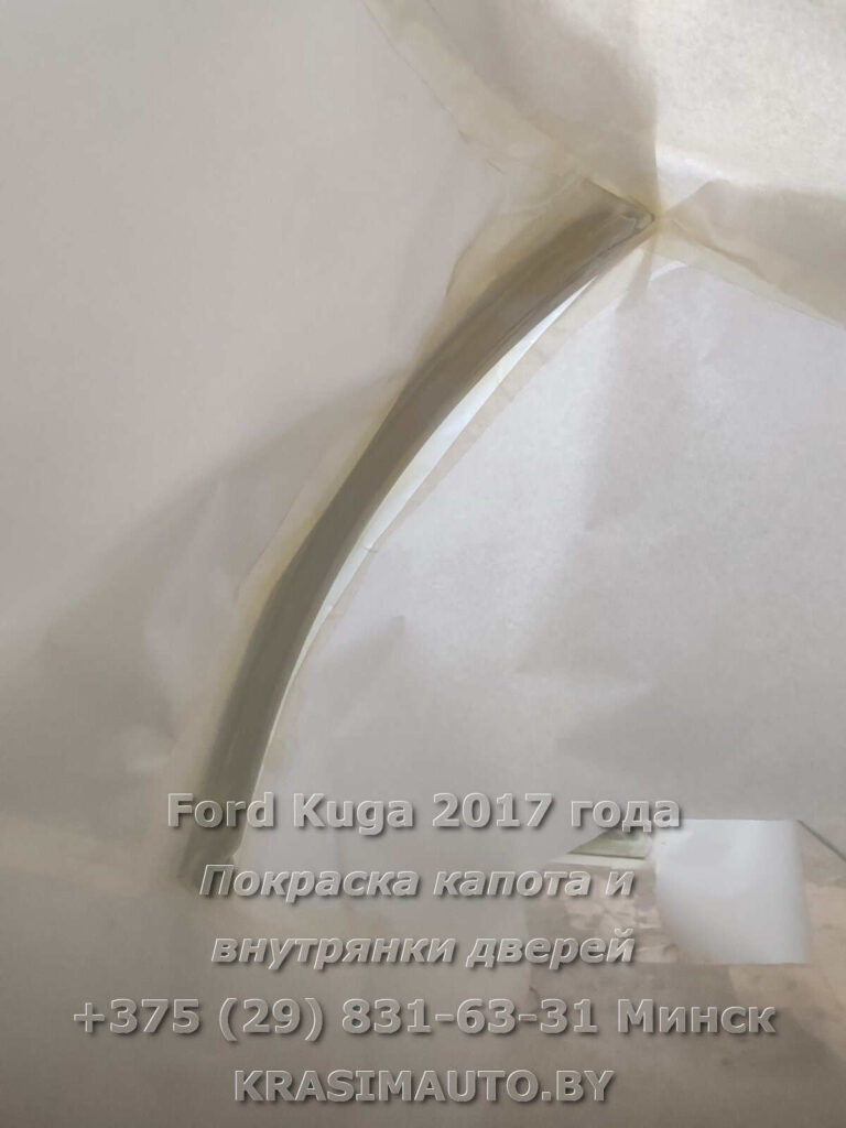 kuga-2017 -7