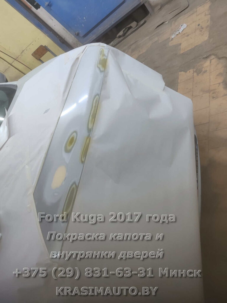 kuga-2017 -8