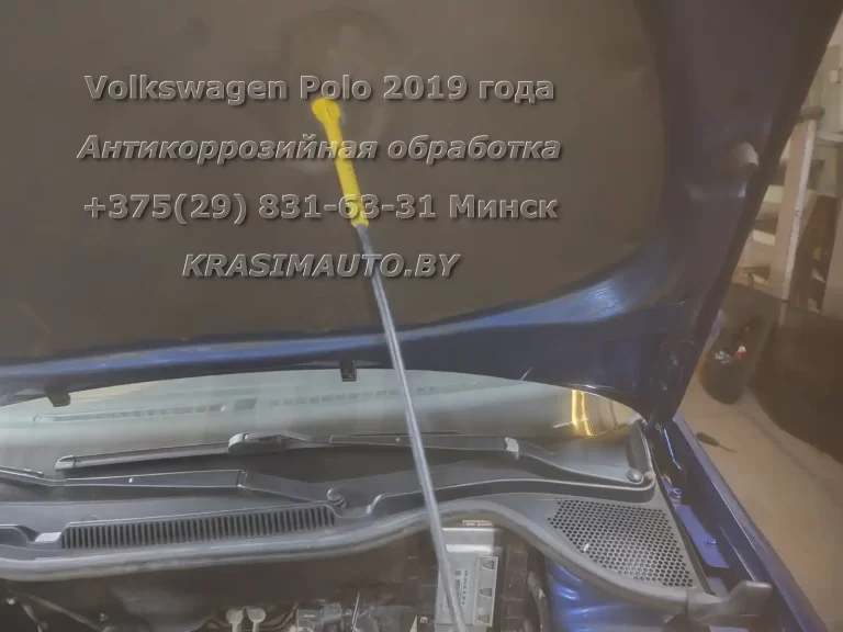 polo 2019 - 3 -16