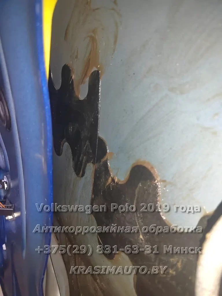 polo 2019 - 3 -19