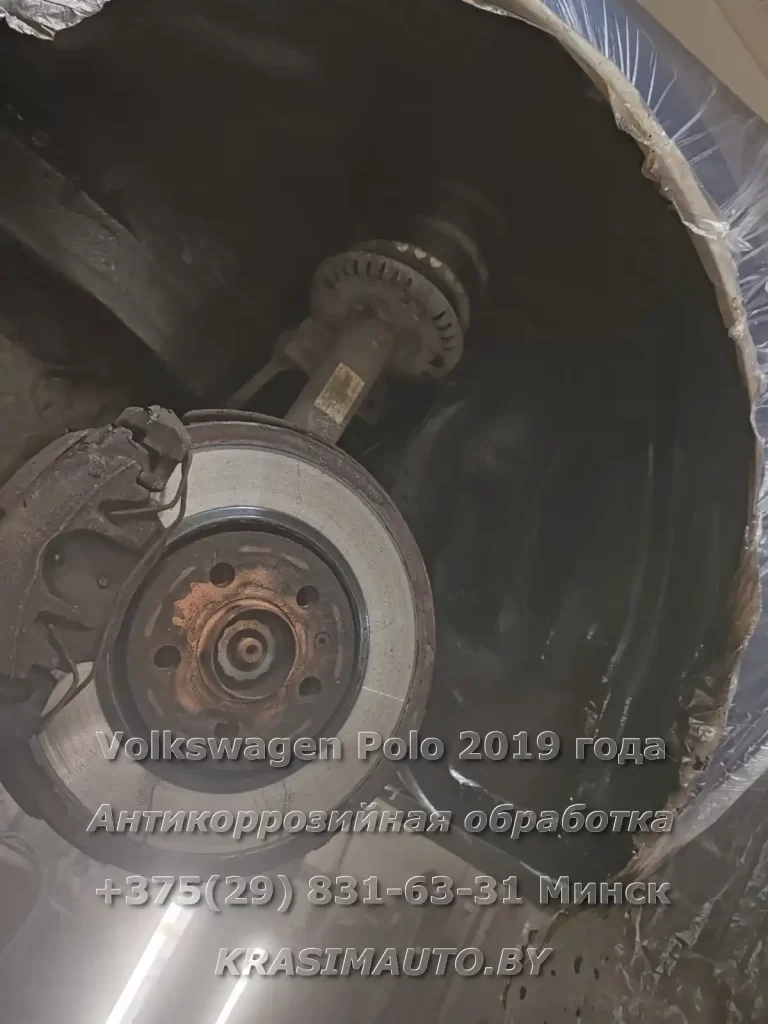 polo 2019 - 3