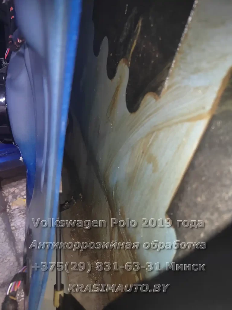 polo 2019 - 3 -9