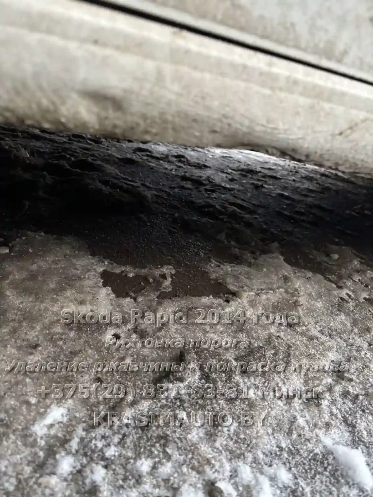 rapid-2014 -33