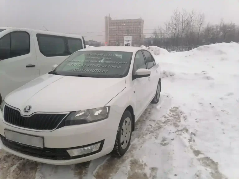 rapid-2014 -36