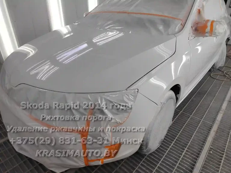 rapid-2014