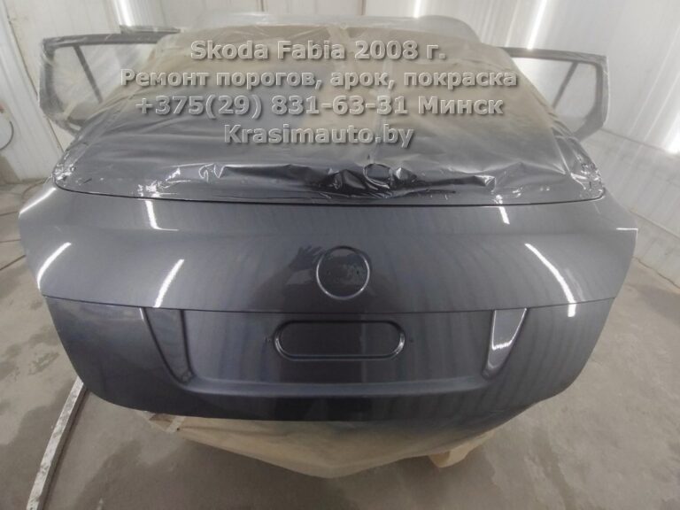 skoda fabia 2008 -5