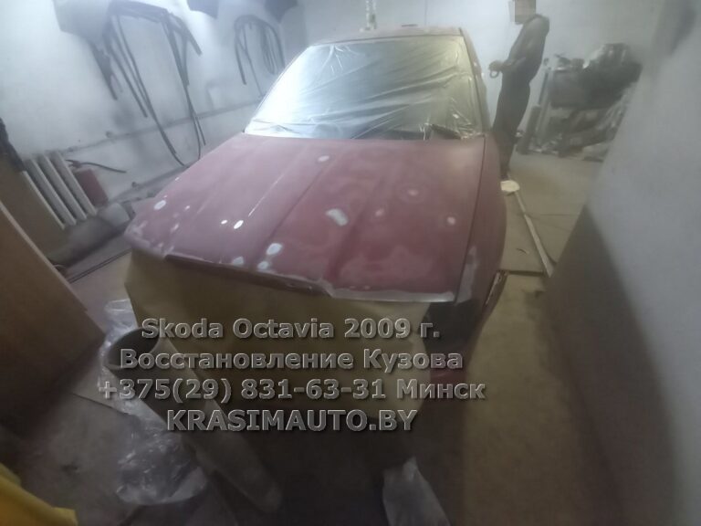 skoda octavia 2009 -15
