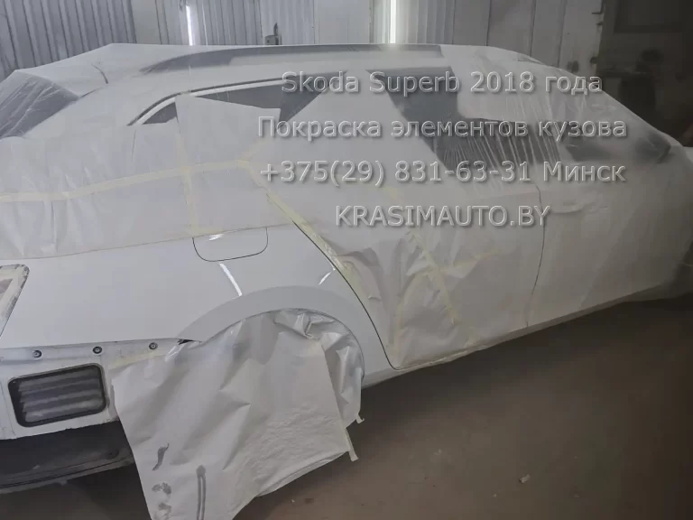superb-2018 -15
