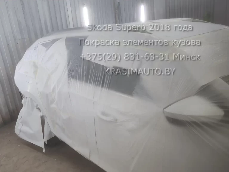 superb-2018 -16