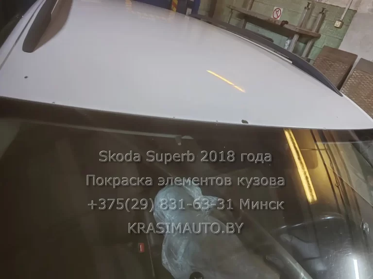 superb-2018 -5