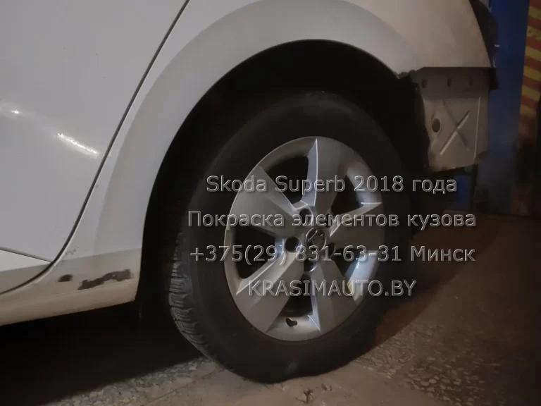 superb-2018 -6